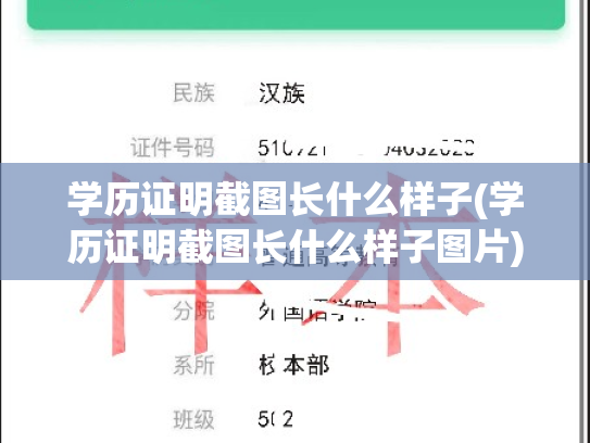 学历证明截图长什么样子(学历证明截图长什么样子图片)