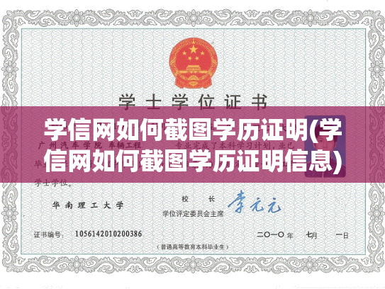 学信网如何截图学历证明(学信网如何截图学历证明信息)
