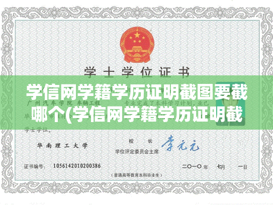 学信网学籍学历证明截图要截哪个(学信网学籍学历证明截图要截哪个图片)