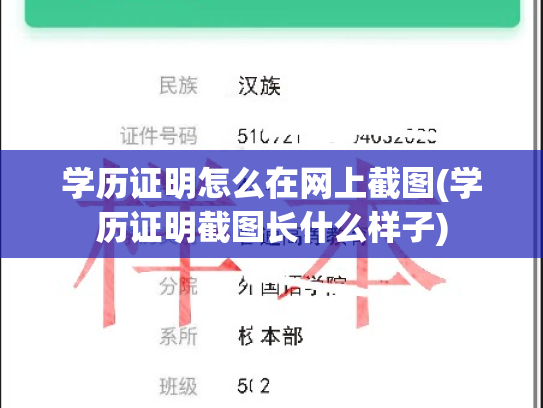 学历证明怎么在网上截图(学历证明截图长什么样子)