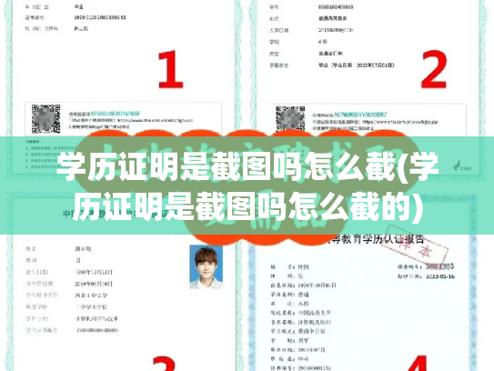 学历证明是截图吗怎么截(学历证明是截图吗怎么截的)