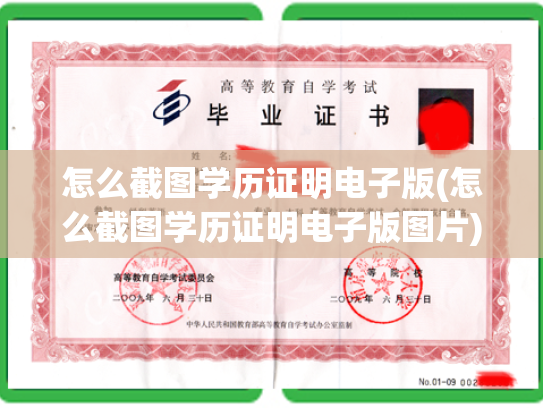 怎么截图学历证明电子版(怎么截图学历证明电子版图片)