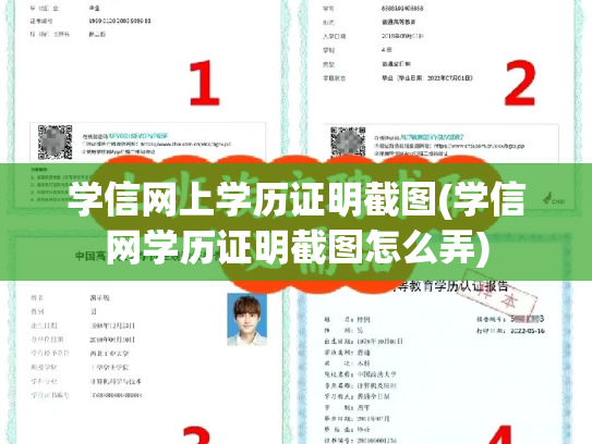 学信网上学历证明截图(学信网学历证明截图怎么弄)